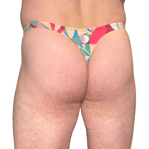 cheeky Swim Thong | Malibu